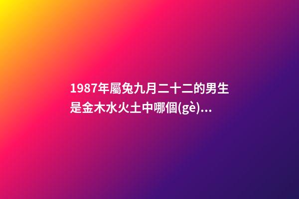 1987年屬兔九月二十二的男生是金木水火土中哪個(gè)命 1987年男屬兔陰歷9月22下午3點(diǎn)出生什么命